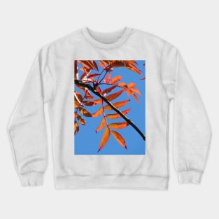 Autumn Crewneck Sweatshirt